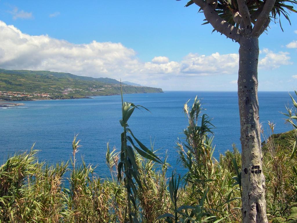 Casa Quinta Do Marques Villa Ponta Delgada  Ngoại thất bức ảnh